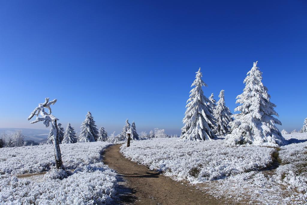 Hapimag Ferienwohnungen Winterberg Exteriör bild