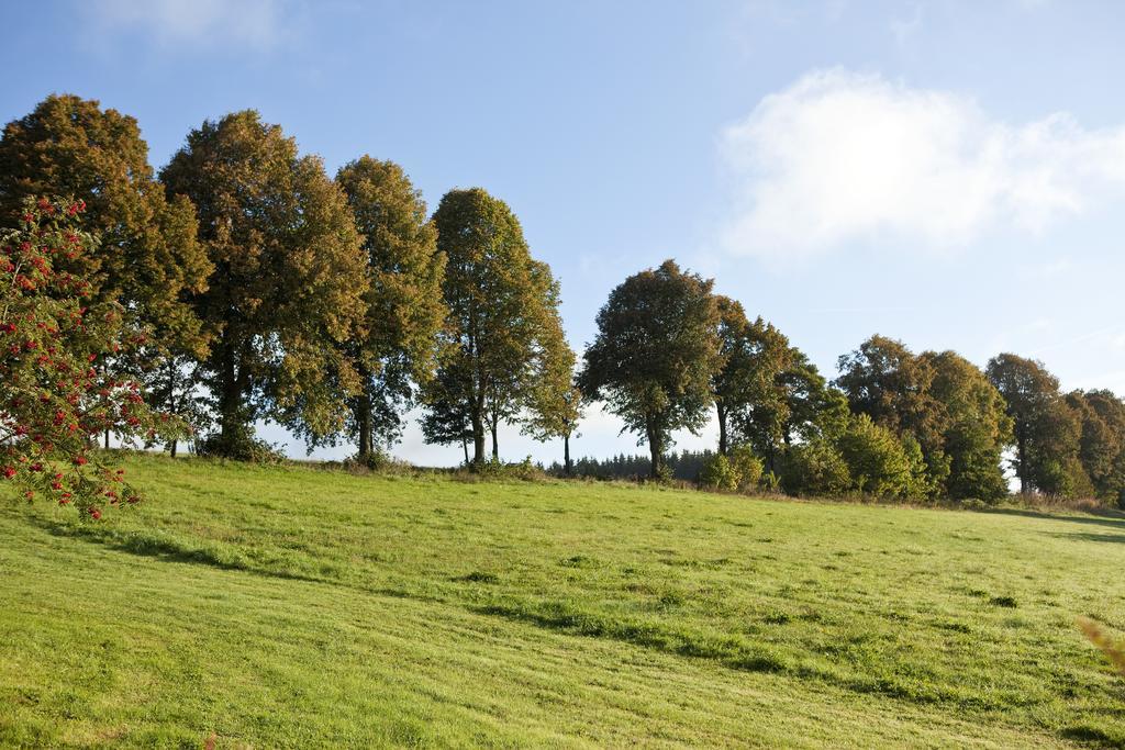 Hapimag Ferienwohnungen Winterberg Exteriör bild